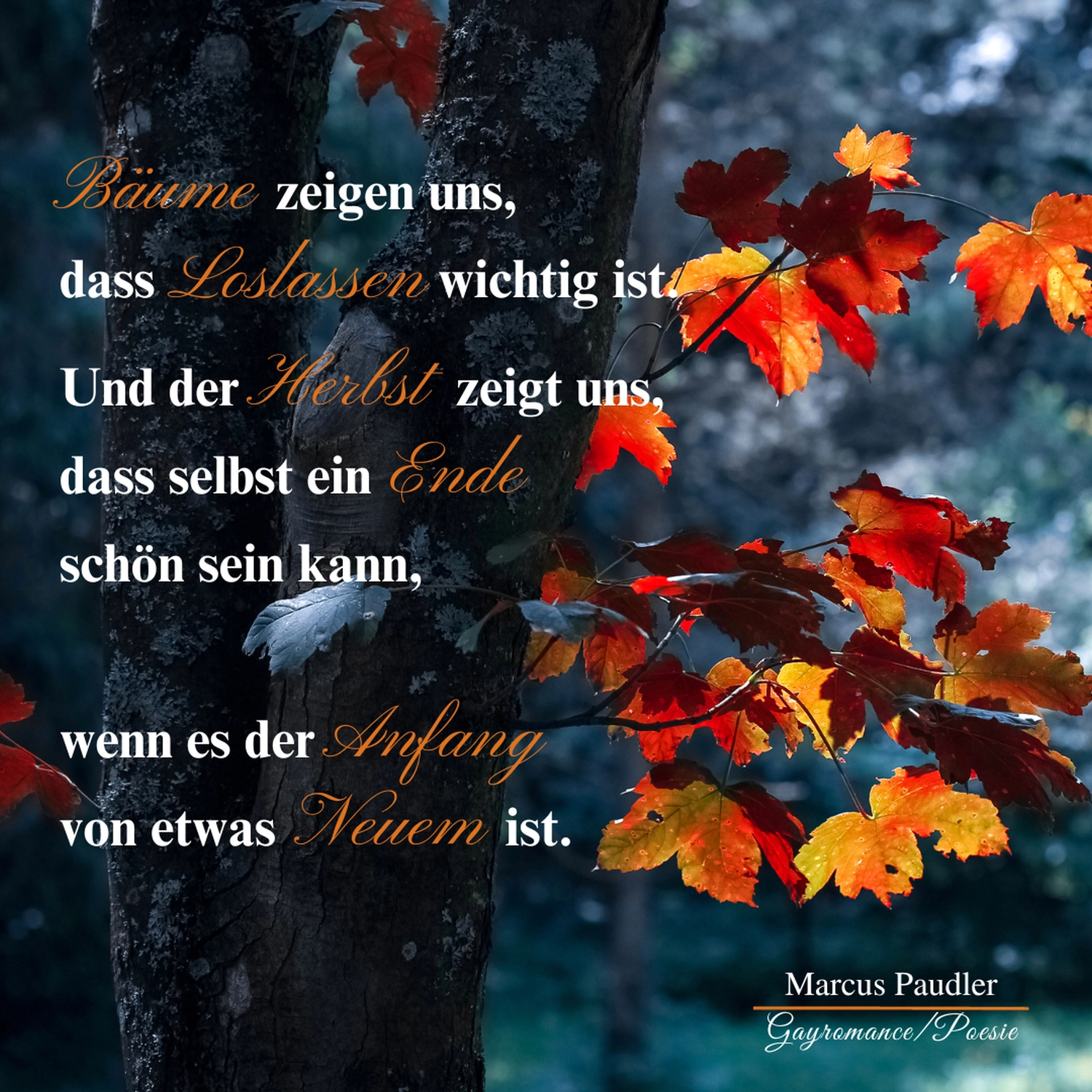 Marcus Paudler Bäume-Lyrik